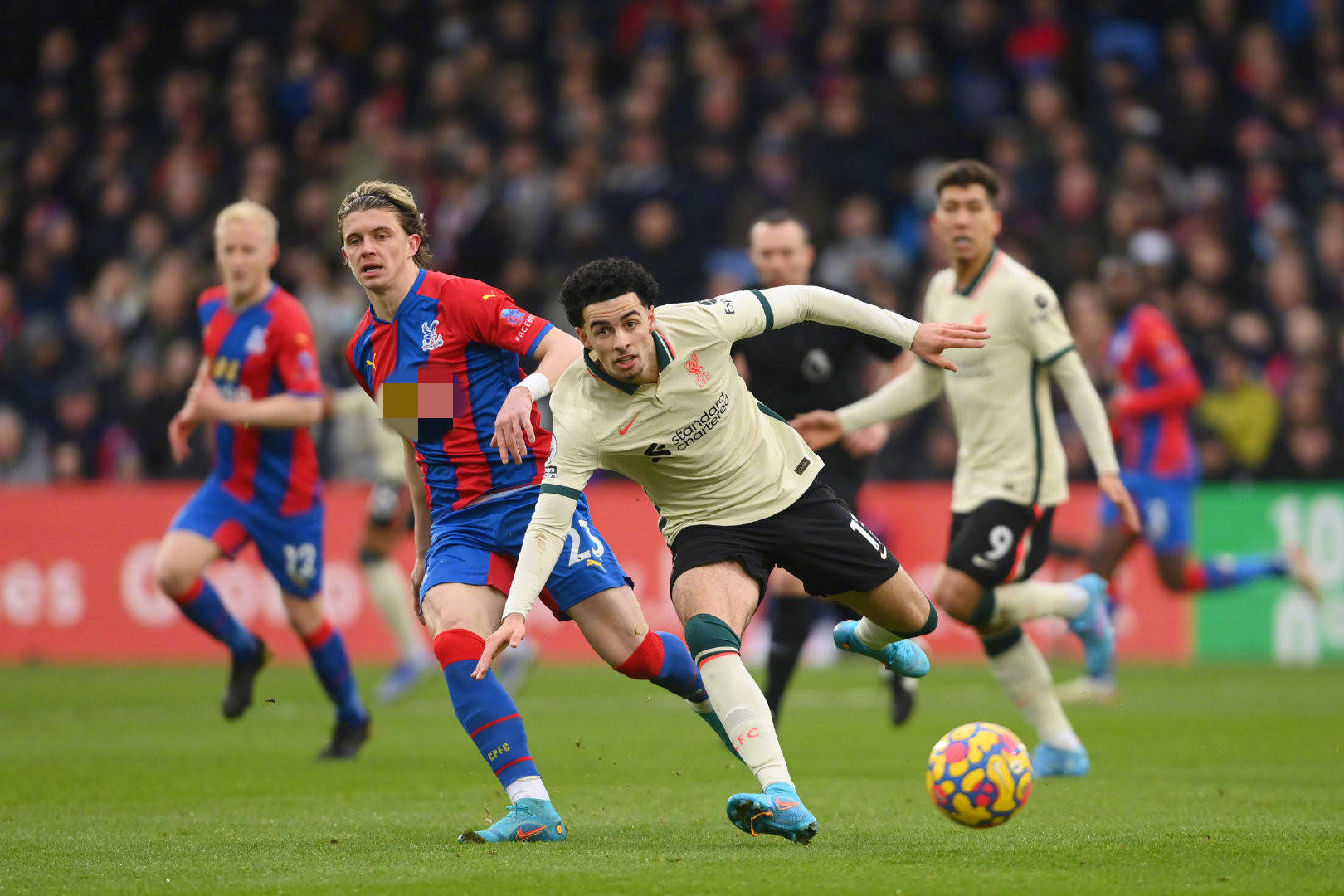 为球队未来 为球队未来